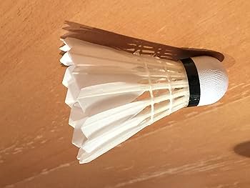 Amazon | CHAOPAI (チャオパイ) バドミントン シャトル 練習用 練習球